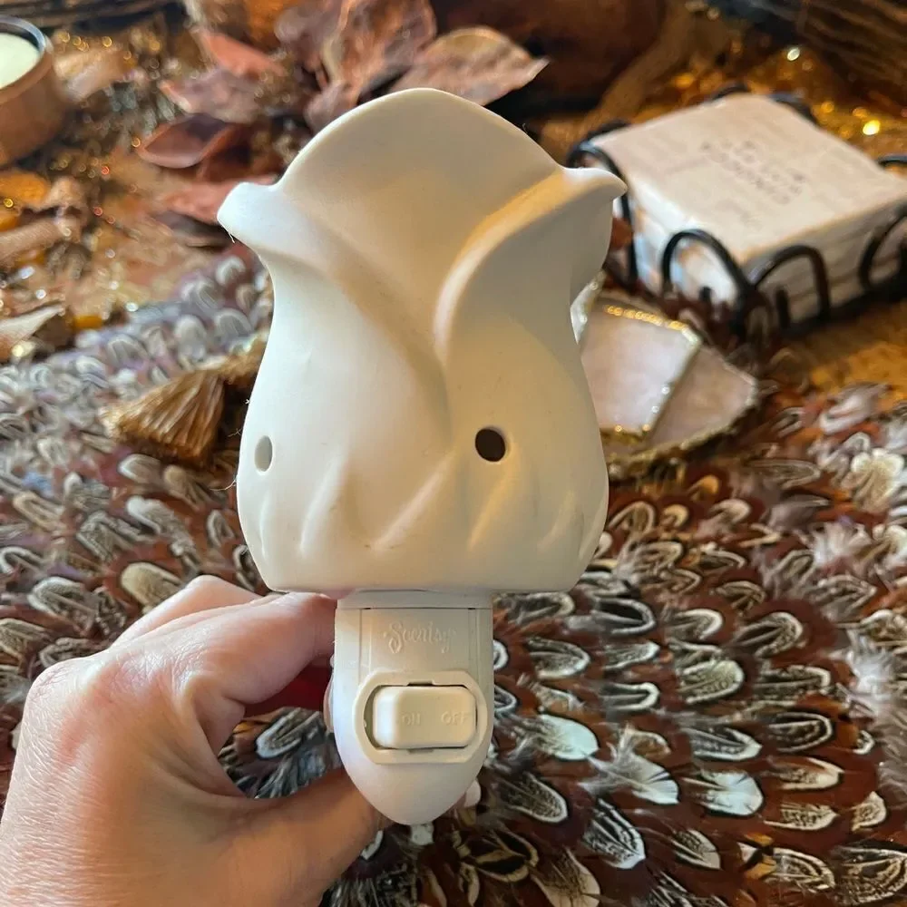 Scentsy wax pair